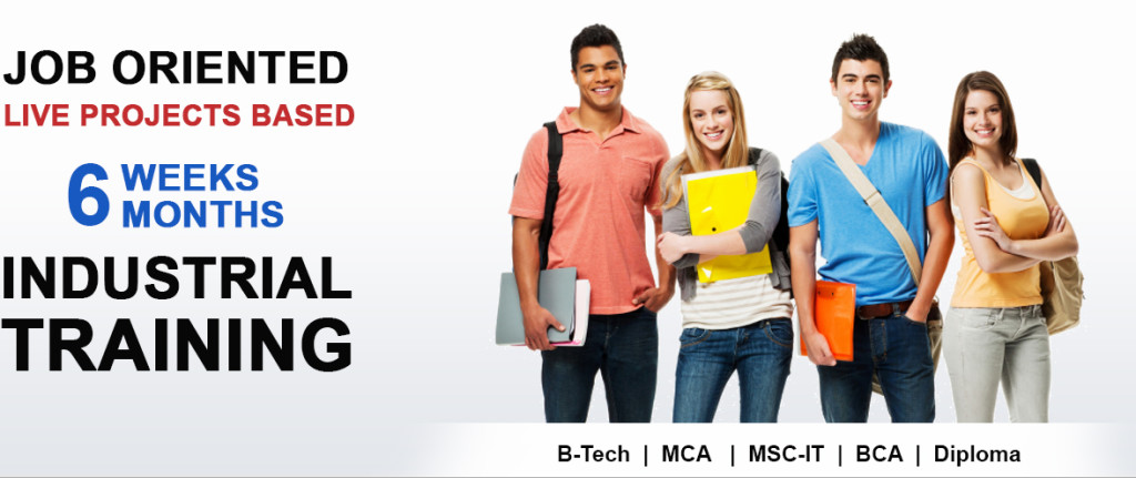 Best PHP Training Institute in Noida Sector 63