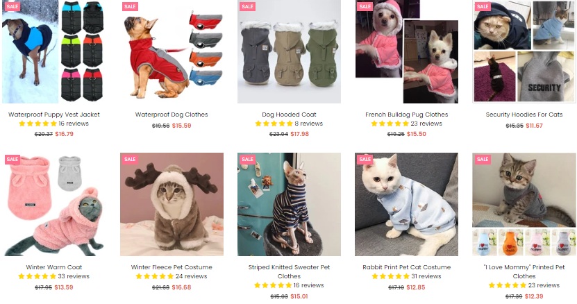 Know more about innovative pet accessories