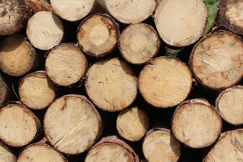 Arbor craft Tree Services: Your Trusted Firewood Suppliers