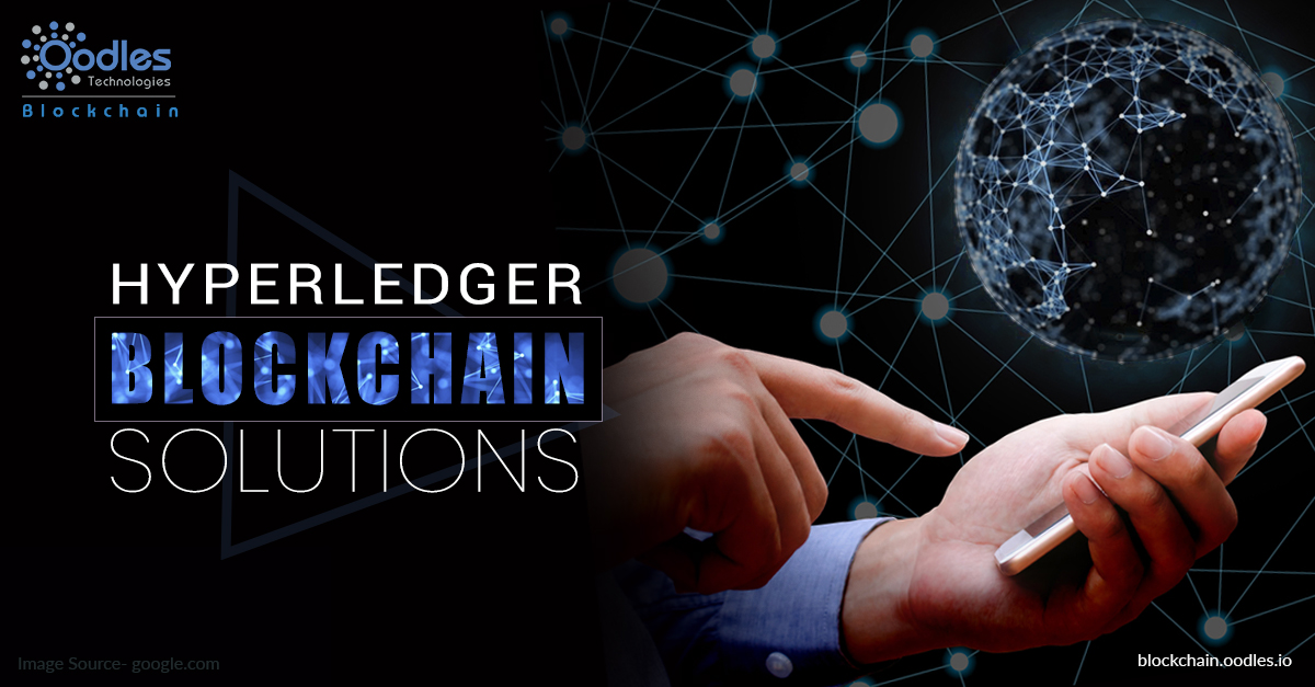 Hyperledger Development Services