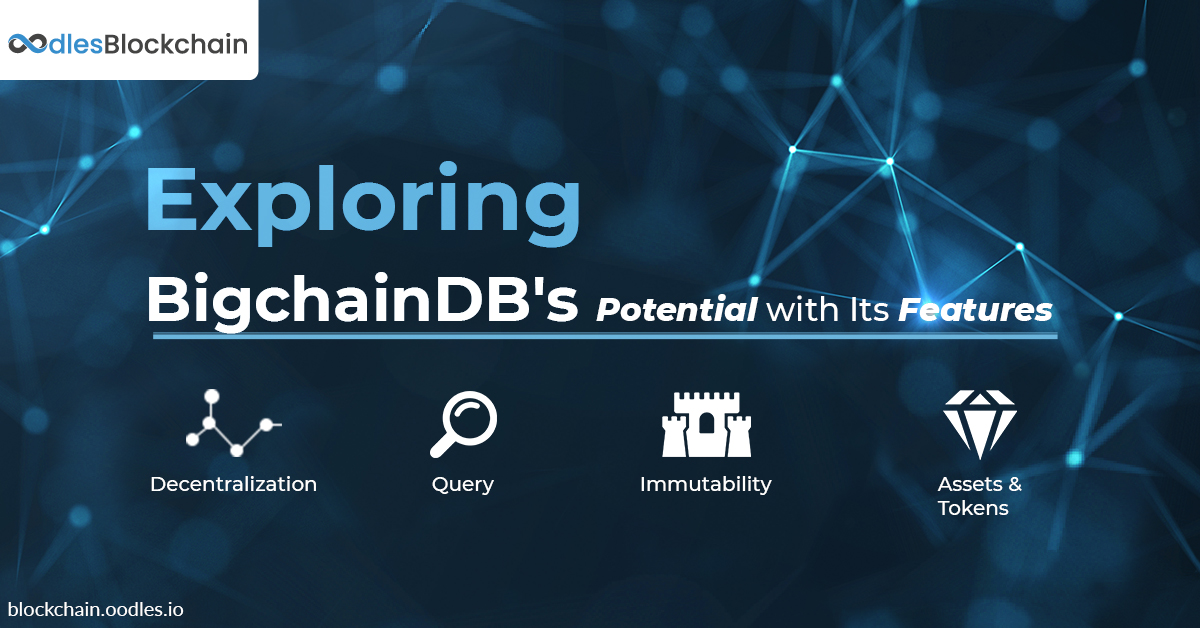 BigchainDB’s Resourceful Features for Blockchain Applications