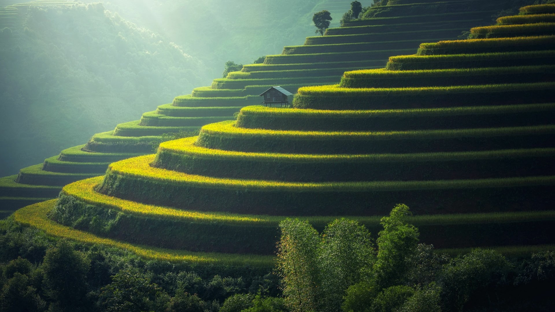 Plan Your International Vacation with Bali Tour Packages