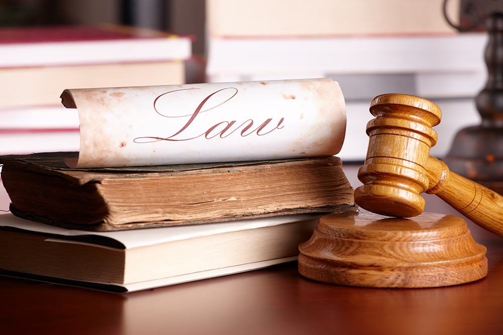 Top Tips for Employment Law – Lina Franco