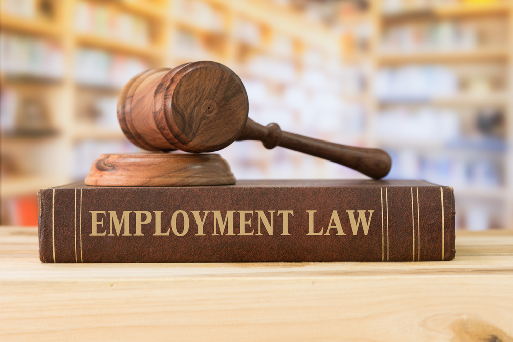 Essential Ways to Find a Defense Lawyer – Lina Franco