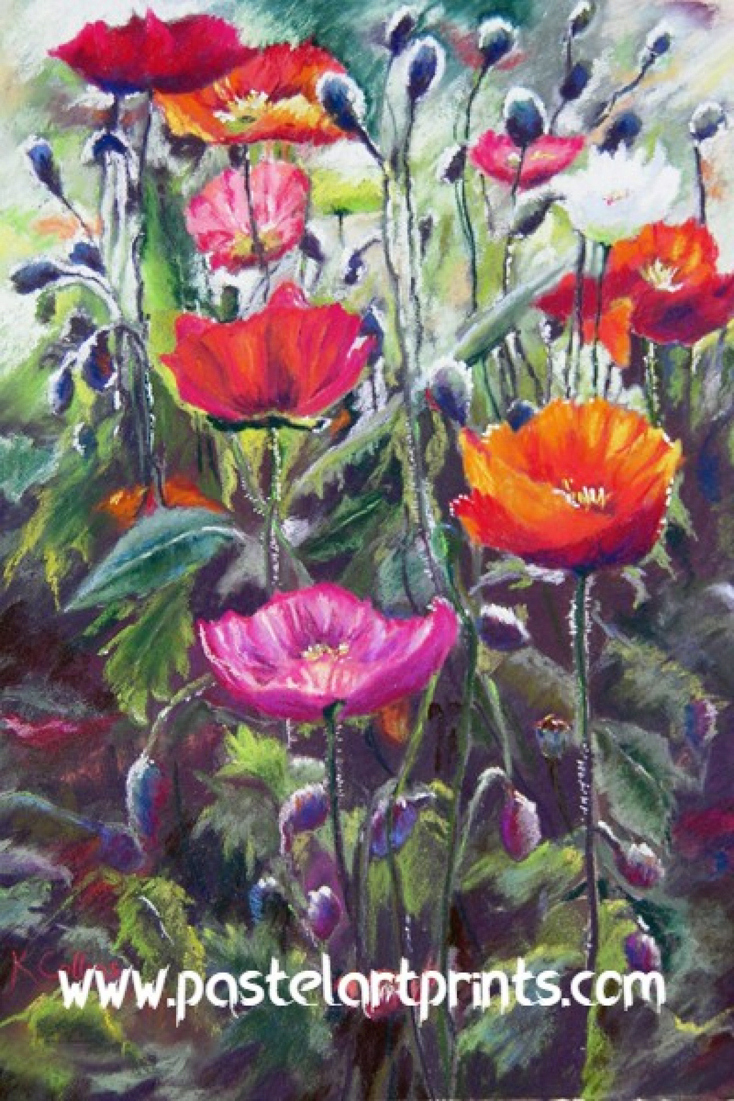 Beauty of Still Life Wall Art Paintings