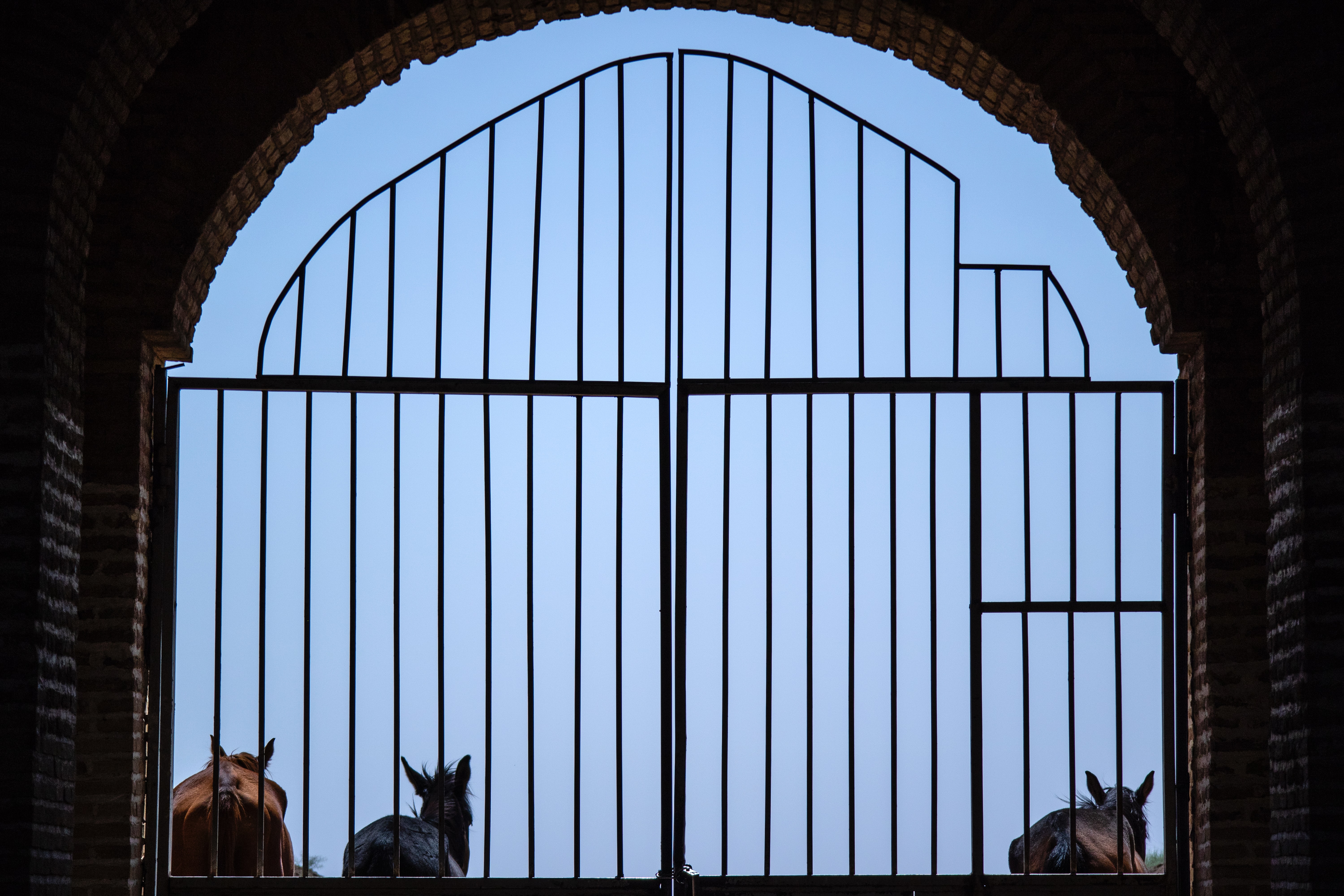 Residential Gate Installation in Los Angeles