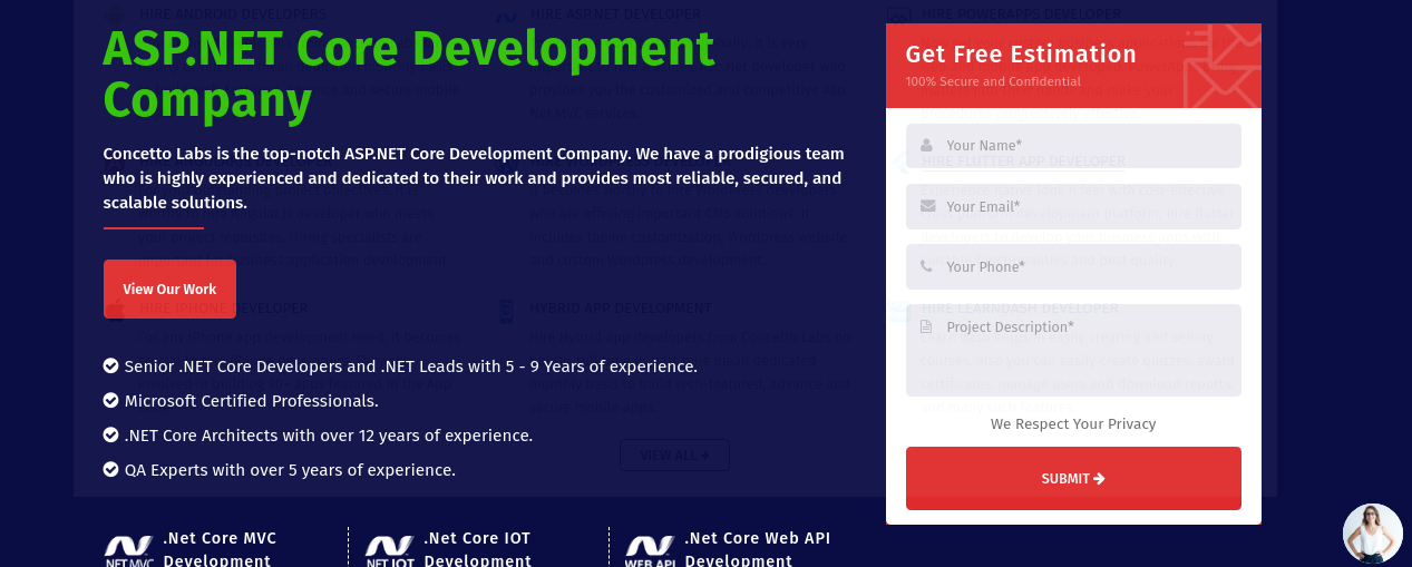 ASP.NET Core Development Company