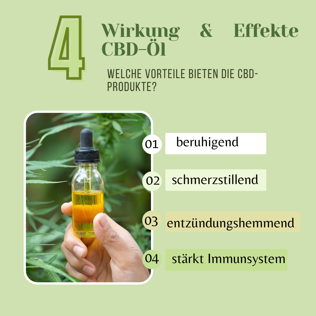 Wirkung von CBD-Öl auf den Körper.