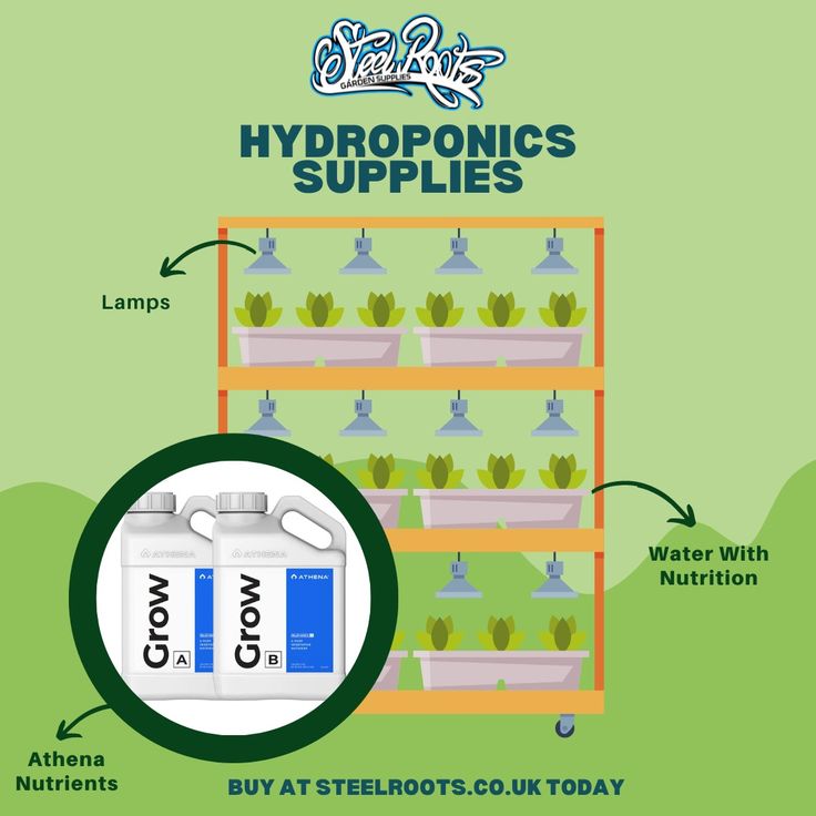 Steel Roots: Cultivate Success with Innovative and Efficient Hydroponics Systems Solutions.