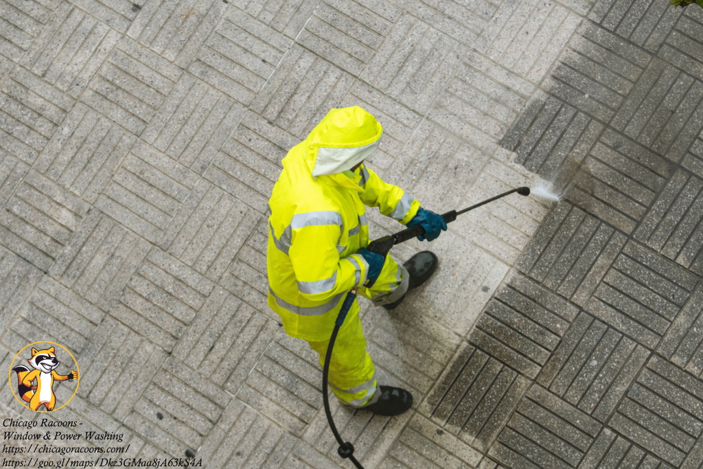 Chicago Racoons - Window & Power Washing (773) 902-0292