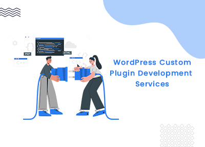 Custom WordPress Plugin Development - WPWeb