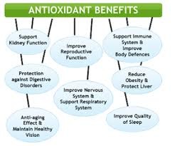 KEY NUTRIENTS FOR THE ANTIOXIDANT IMMUNE SYSTEM