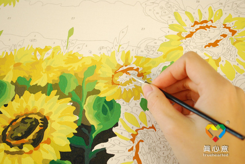 Get discounts on paint by numbers set