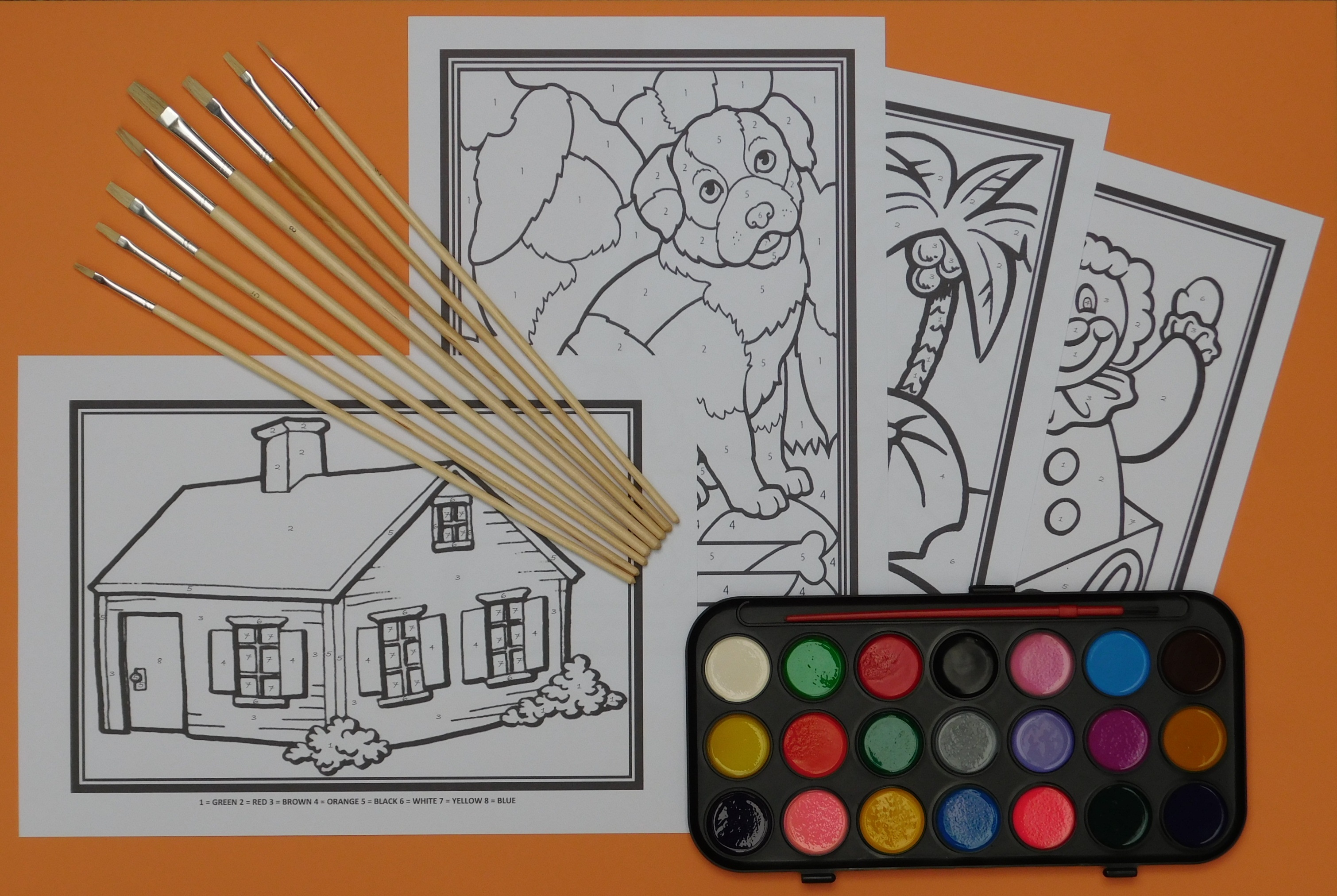 Buy Custom paint by numbers kit - Free Shipping