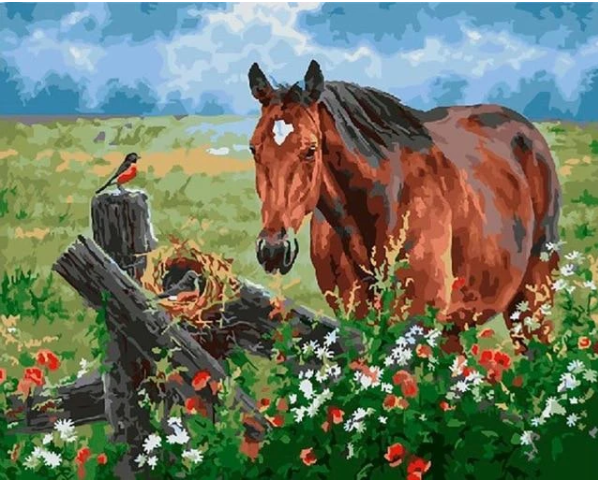 Order For Paint by numbers set With 40% Off and Free Shipping