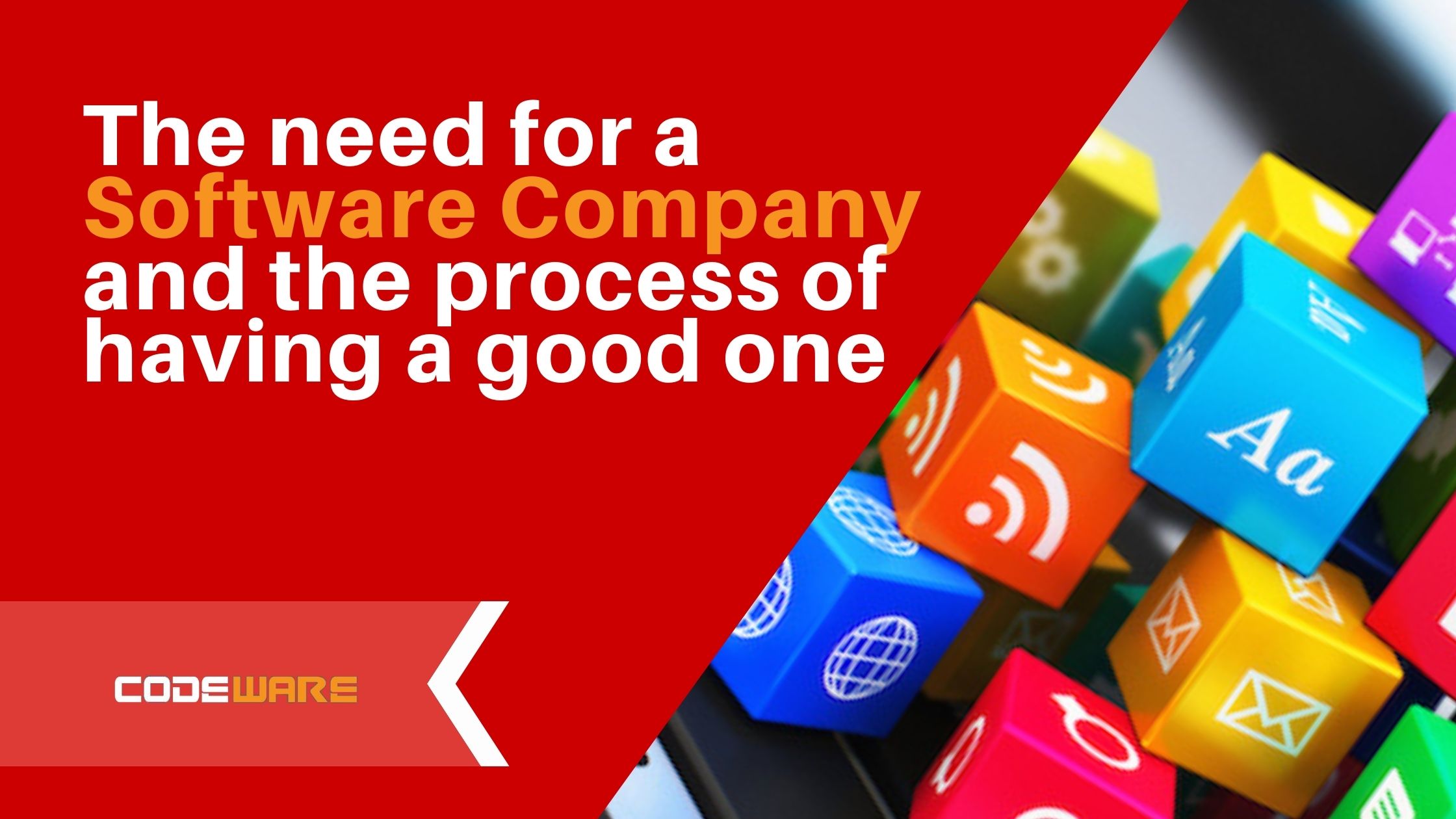 The need for a Software Company and the process of having a good one