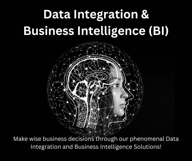 Data Integration & Business Intelligence in Germany