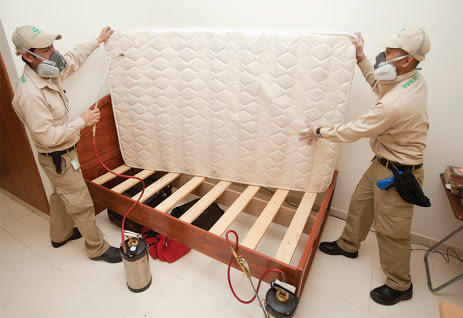 Bed Bug Extermination in Vienna VA