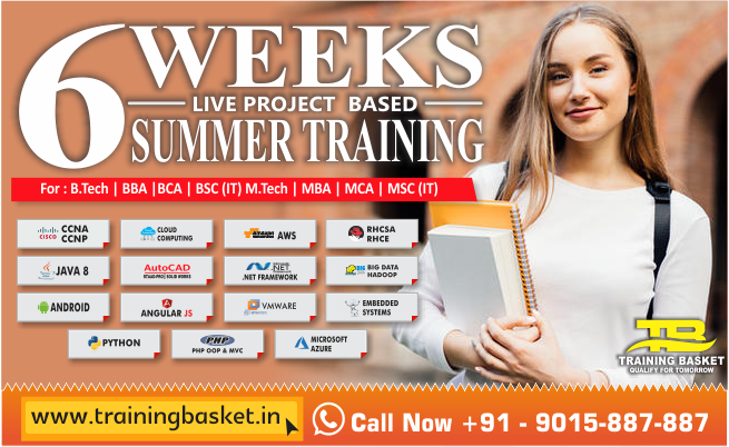 Best Summer Training in Noida sector 62 | Training basket