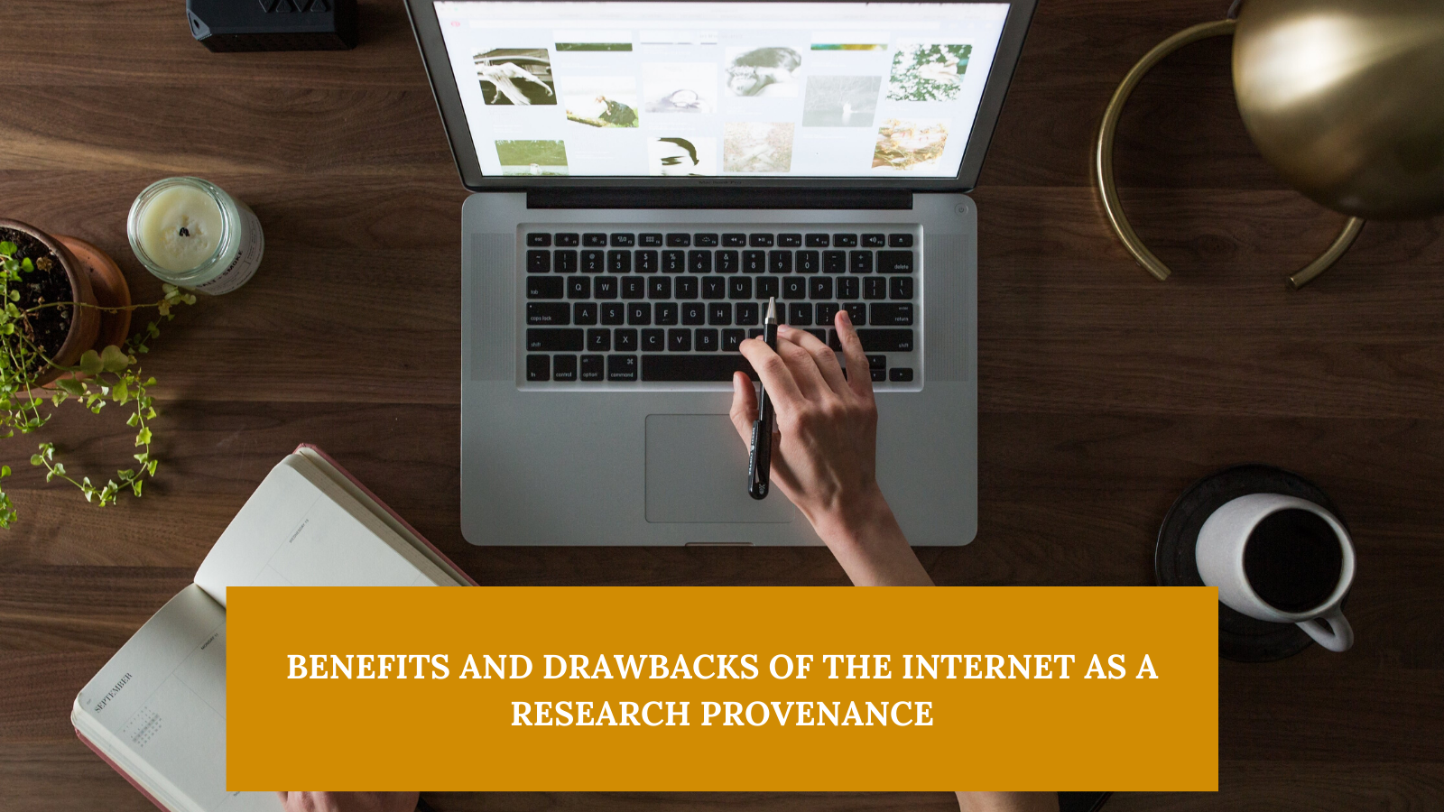 Benefits and Drawbacks of the Internet as a Research Provenance