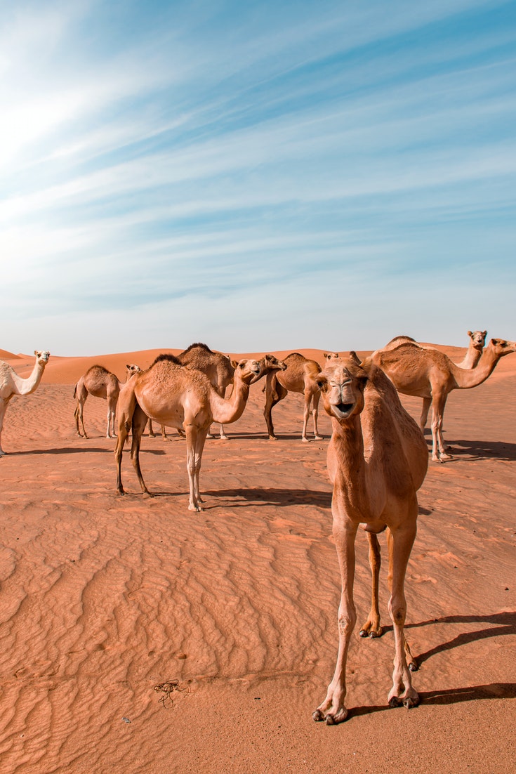 11 Best Weekend Getaways Near Delhi In 2020