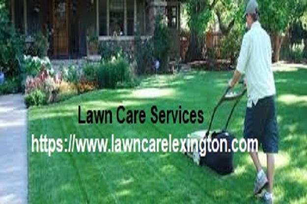 Lawn Mowing Service