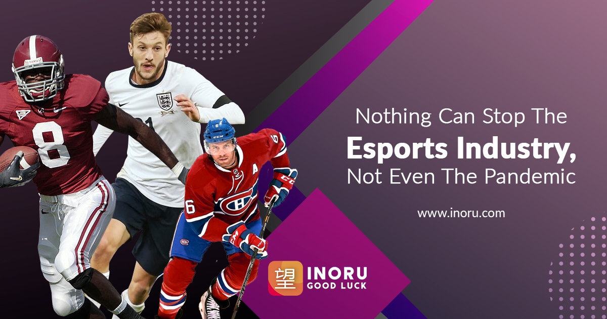 How do testers help in esports tournament website development?