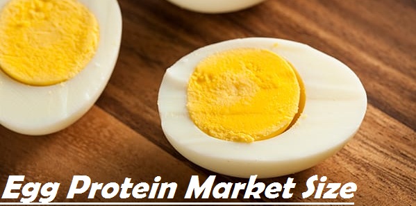 The Industrial and Competitive Dynamics for the Egg Protein Market