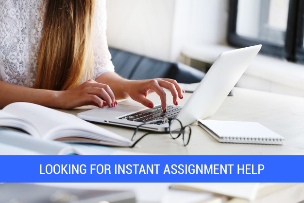 Hire Essay Writer: How to write an essay help