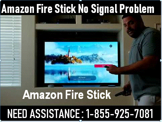 How To Fix Amzon FireStick No Signal
