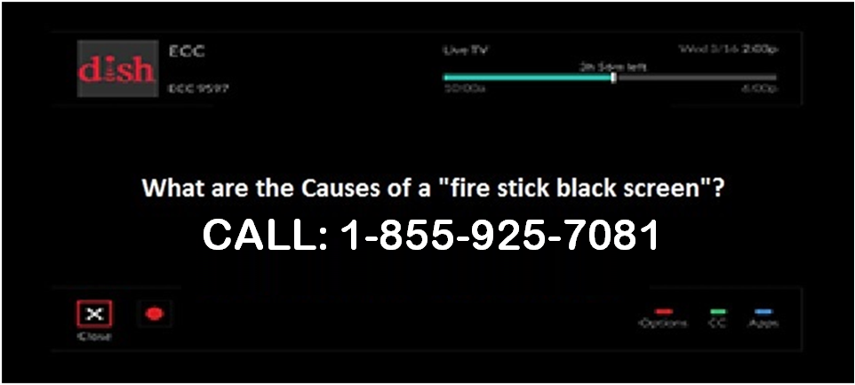 Check Out The Quick Procedure To Fix Amazon Stick No Signal Problem