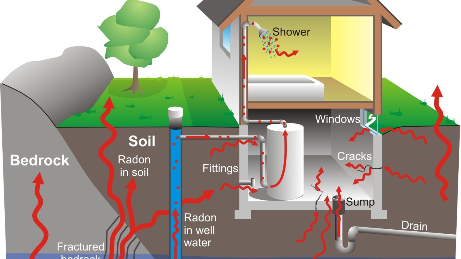 What Do You Know About Radon?