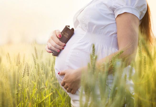Maternity Belt And Postpartum Girdle: Get the Skinny Before It's Too Late!