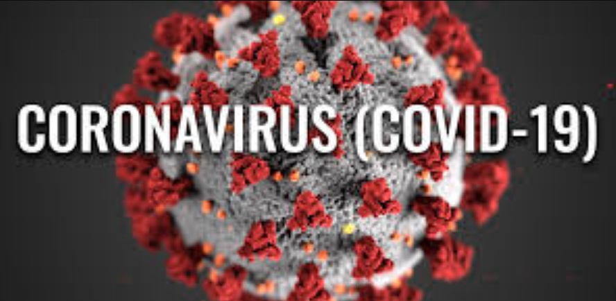Find the helpful information on COVID-19 Coronavirus