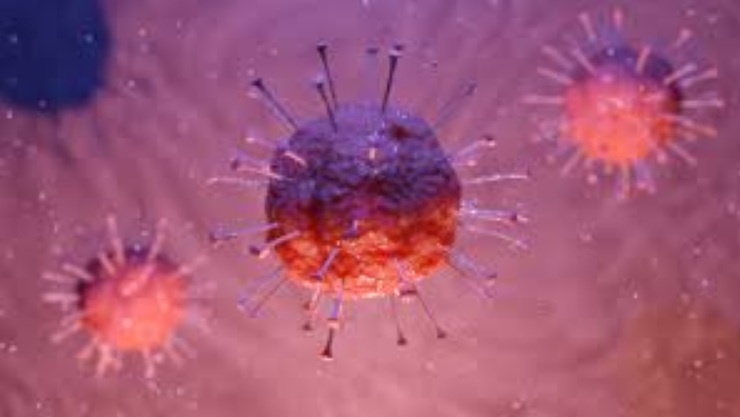 All you need to know about coronavirus Schweiz news