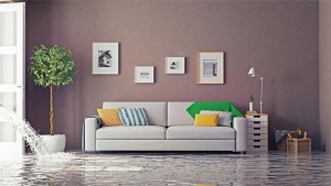 Sewer Damage Cleanup Concord