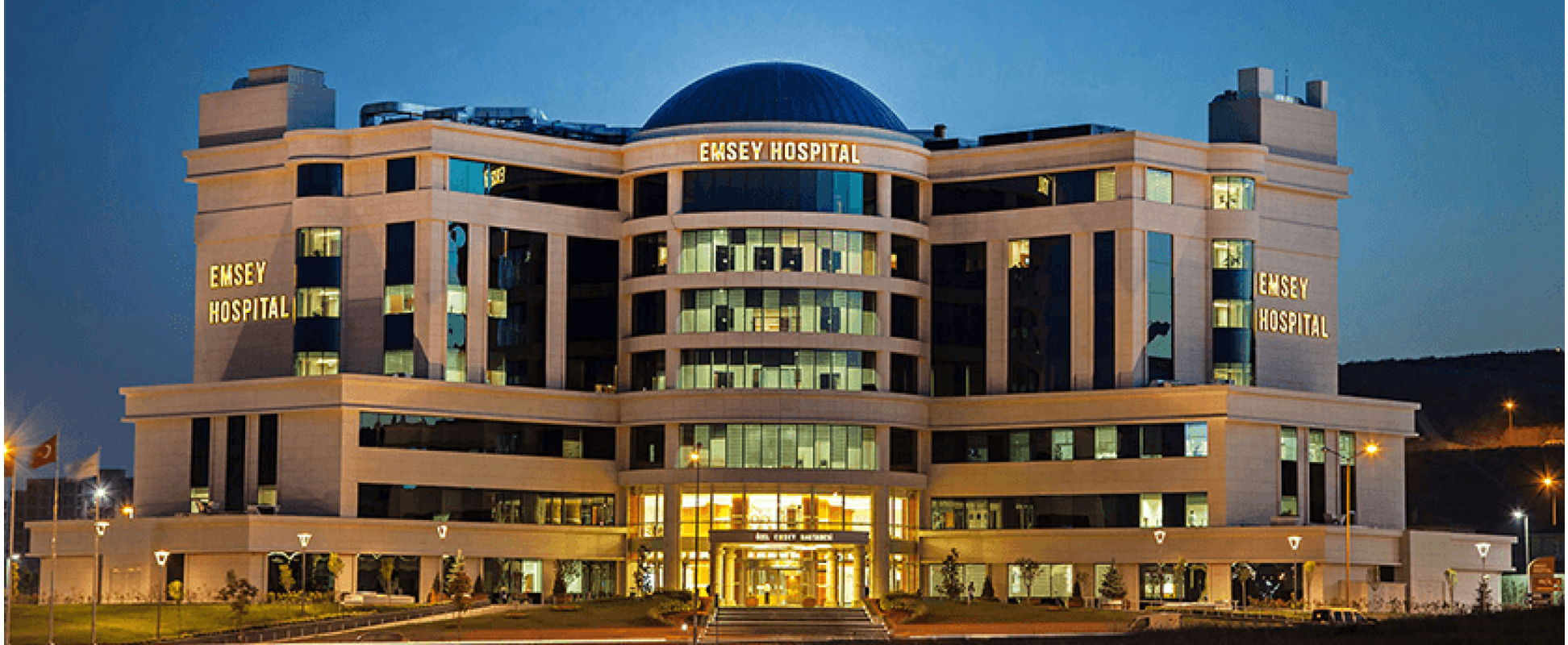 Cancer Treatment in Egypt - A Turning Point in the Field