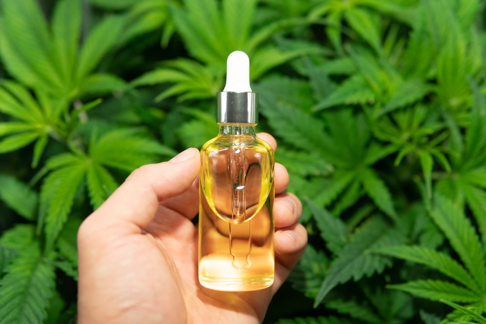 What is CBD Oil?