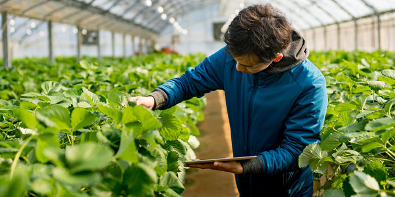 The Impact Of Novel Coronavirus On Agriculture And Opportunities For The Future