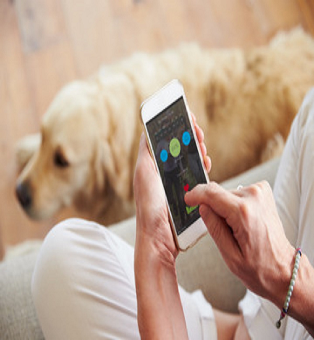 Develop Your Dog Sitting App with Uber for Dog Sitting or Pet Sitting Software