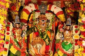 Padmavathi travels - one day package from chennai to tirupati