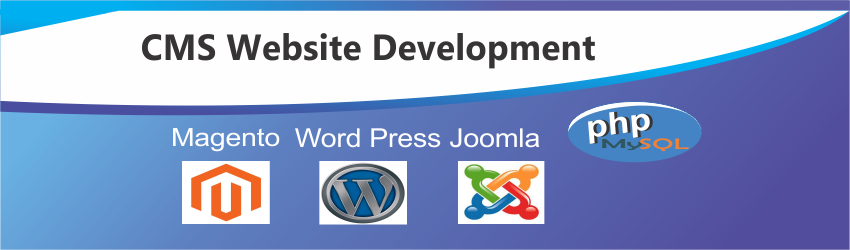 CMS Website Development company Delhi, CMS web development services