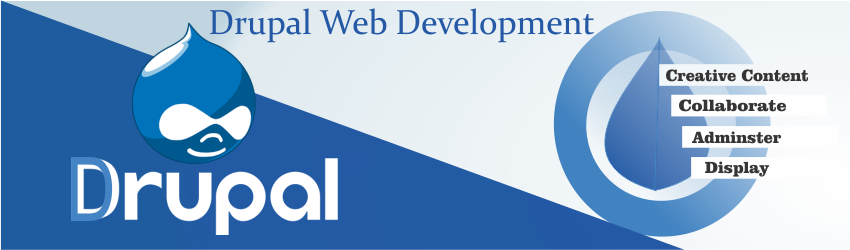 Drupal Website Development Company India - weblieu technologies