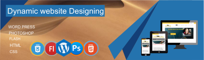 Dynamic Website Designing Company Delhi- Weblieu