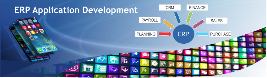 ERP Application Development Company in Delhi NCR.