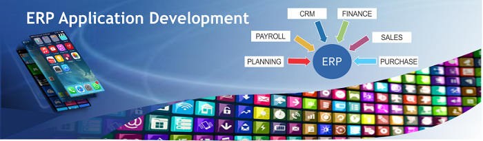 ERP Software: Why Develop | Blog | Web and mobile app development, web design company | weblieu.com
