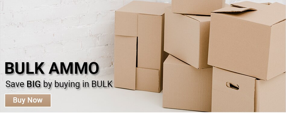 22 LR AMMO: PERFORMANCE