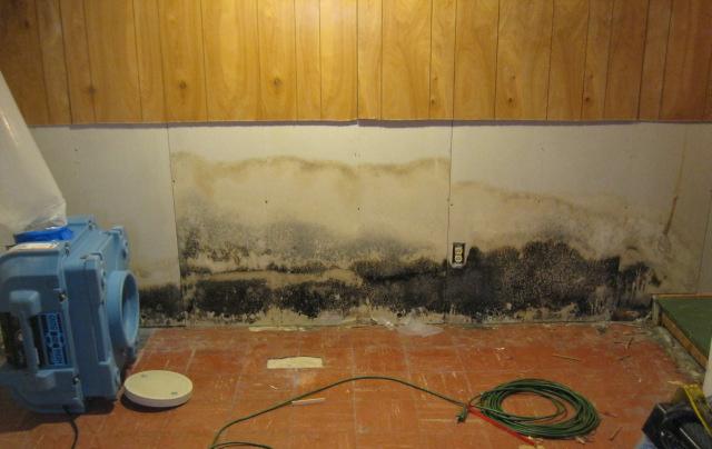 Water Damage Worcester
