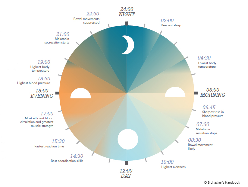 The Best Place to Buy Melatonin