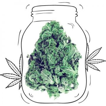 KushMart Has Existed For Quite a While